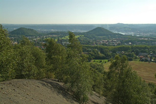 Panorama au sommet du terril de Batterie-Nouveau.