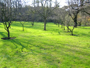 Abbaye de la Paix-Notre-Dame - Parc