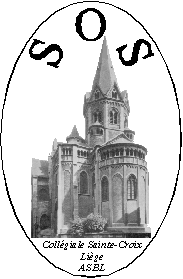 S.O.S. Collégiale Sainte-Croix